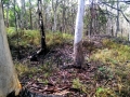 Carbon Assessments