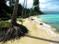 Climate Adaptation 2
