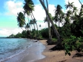 Coastal Adaptation