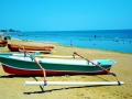 Fisheries Management