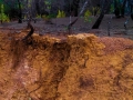 Erosion Control