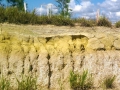 Land Degradation