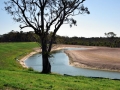 Land Rehabilitation 2