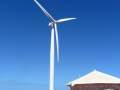 Renewable Energy