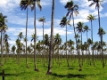 Sustainable Agriculture