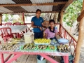 Sustainable Livelihoods