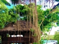 Ecosystem Based Management
