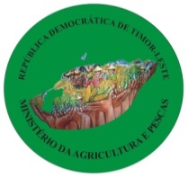 timor