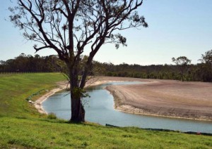 Environmental Management Noosa